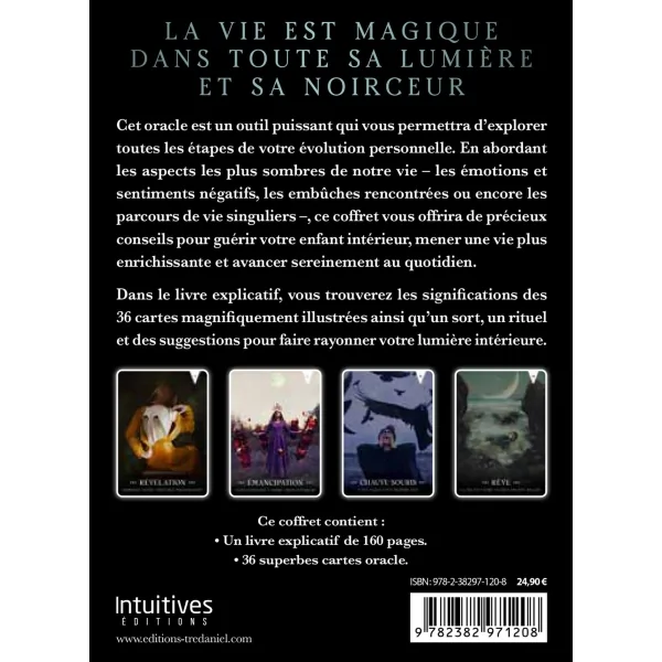 Shadow Work - divination | Dans les yeux de Gaïa