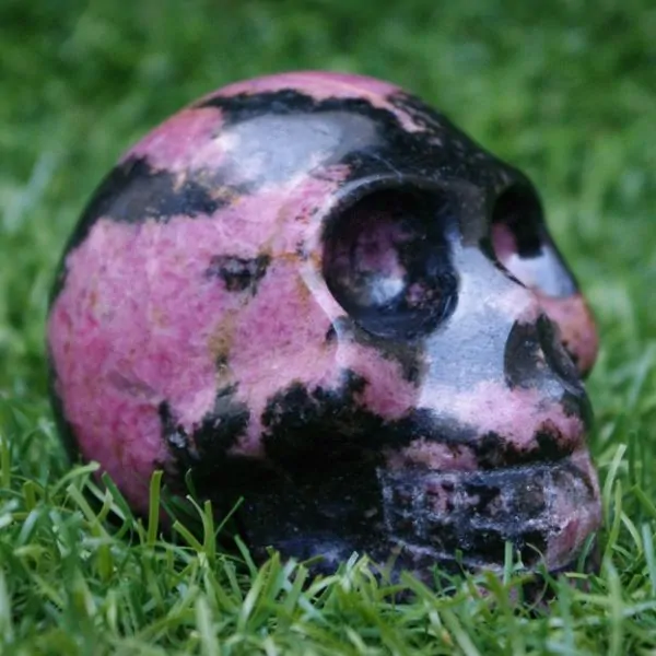 Crâne en Rhodonite, profil 2 | Dans les Yeux de Gaia