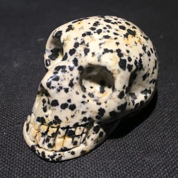 Petit Crâne en Jaspe Léopard | Crânes de Cristal | Dans les yeux de Gaïa