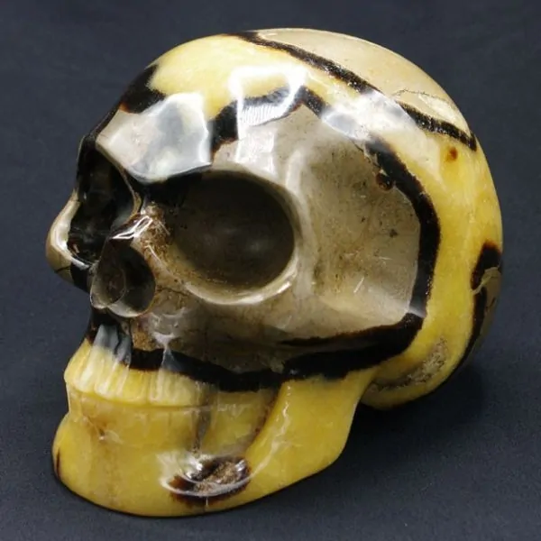 Crâne en Septaria [CS1] | Crânes de Cristal | Dans les yeux de Gaïa