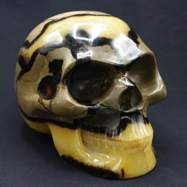 Crâne en Septaria [CS1] | Crânes de Cristal | Dans les yeux de Gaïa