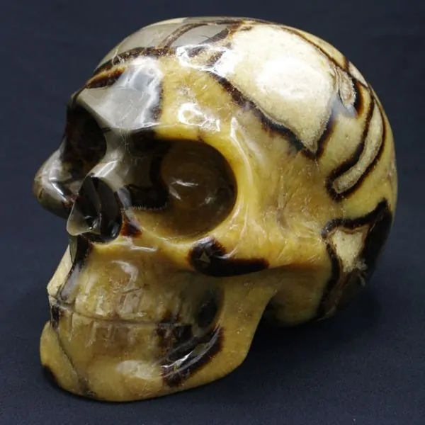 Crâne en Septaria [CS2] | Crânes de Cristal | Dans les yeux de Gaïa