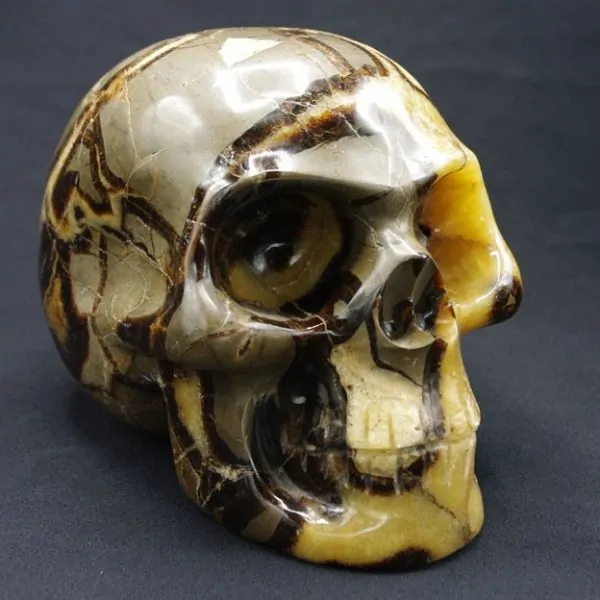 Crâne en Septaria [CS2] | Crânes de Cristal | Dans les yeux de Gaïa