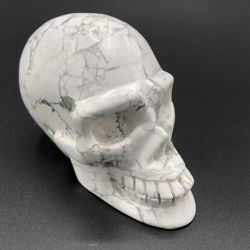 Crâne en Howlite CH2
