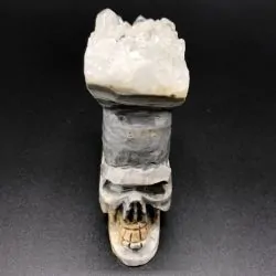 Crâne en Cristal de Roche -5| Crânes de Cristal | Dans les yeux de Gaïa
