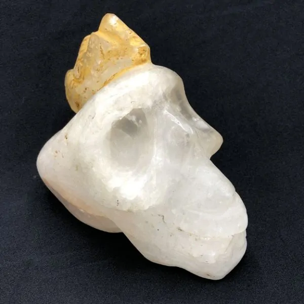 Crâne Dragon en Cristal de Roche | Pièces d’Exception | Dans les yeux de Gaïa