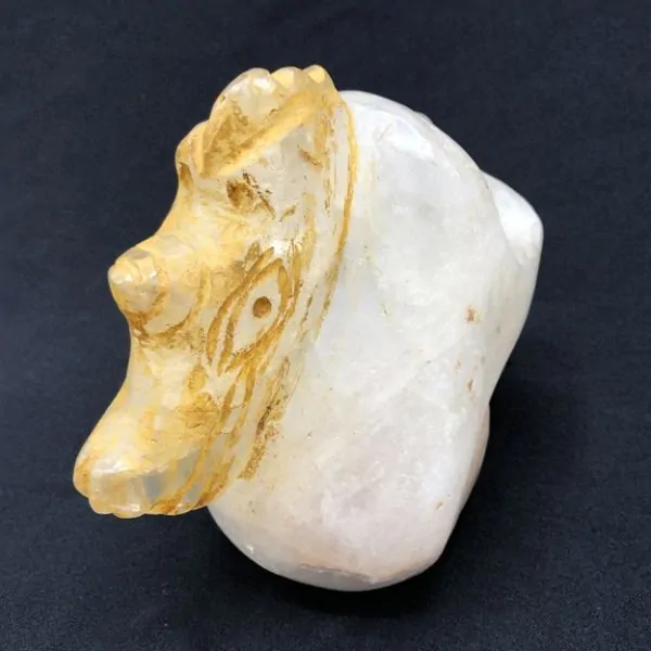 Crâne Dragon en Cristal de Roche | Pièces d’Exception | Dans les yeux de Gaïa