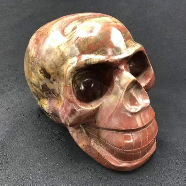 Crâne en Bois Fossile | Crânes de Cristal | Dans les yeux de Gaïa