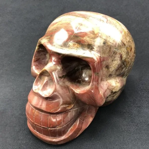 Crâne en Bois Fossile | Crânes de Cristal | Dans les yeux de Gaïa