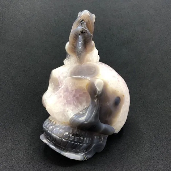 Crâne Agate Caméléon -2 | Crânes de Cristal | Dans les yeux de Gaïa