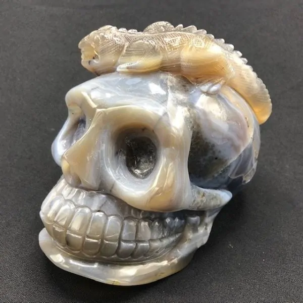 Crâne Agate Caméléon -3| Crânes de Cristal | Dans les yeux de Gaïa