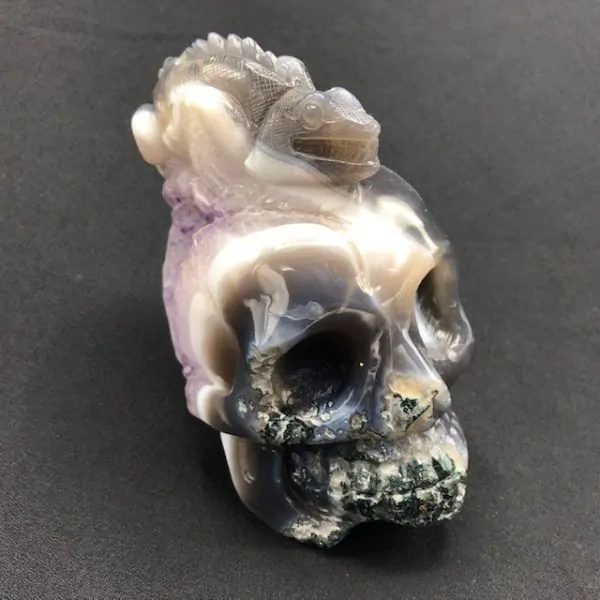 Crâne Agate Caméléon -1| Crânes de Cristal | Dans les yeux de Gaïa