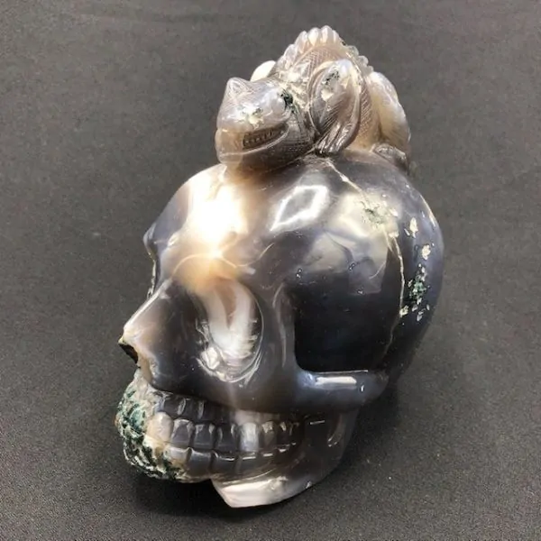 Crâne Agate Caméléon -1| Crânes de Cristal | Dans les yeux de Gaïa