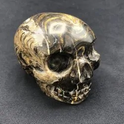 Crâne en Stromatolite