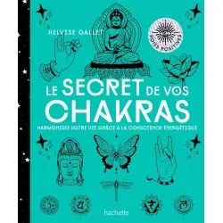 Le Secret de vos Chakras | Santé - Médecine Douce | Dans les yeux de Gaïa