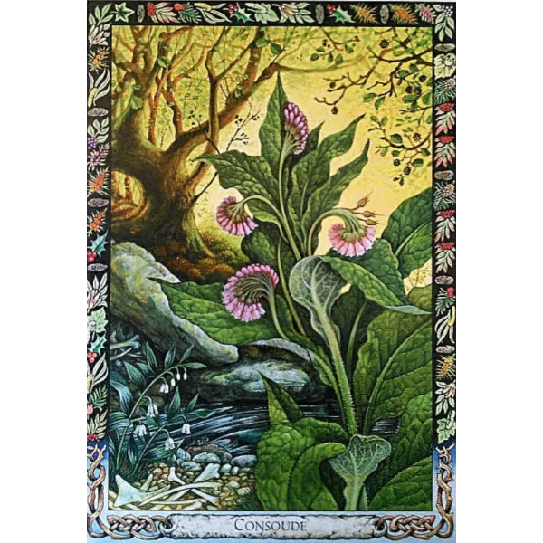 L'oracle druidique des plantes - Travailler avec la flore magique de la tradition druidique - Coffret | Oracles Guidance / Dével