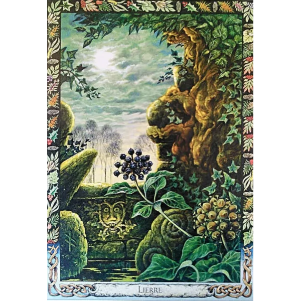 L'oracle druidique des plantes - Travailler avec la flore magique de la tradition druidique - Coffret | Oracles Guidance / Dével