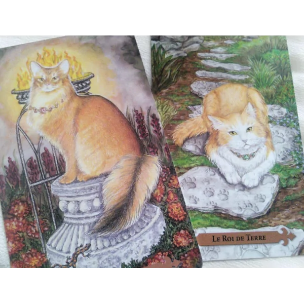 Le Tarot des chats mystiques | Oracles Guidance / Développement Personnel | Dans les yeux de Gaïa