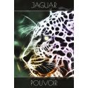 Esprit Animal Cartes Oracles - Carte Jaguar Pouvoir | Dans les Yeux de Gaïa