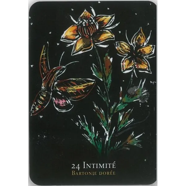 Oracle des fleurs nocturnes 3 - Cartomancie |Dans les Yeux de Gaïa - Carte 2