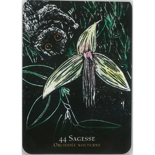 Oracle des fleurs nocturnes 8 - Cartomancie |Dans les Yeux de Gaïa - Carte 7