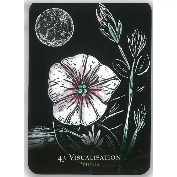Oracle des fleurs nocturnes 9 - Cartomancie |Dans les Yeux de Gaïa - Carte 8