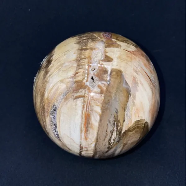 Sphère en Bois Fossile -4 | Sphères, Oeufs, et Coeurs | Dans les yeux de Gaïa