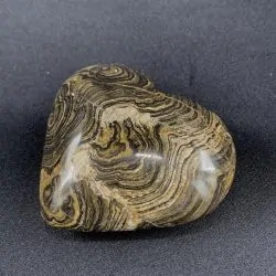 Coeur en Stromatolite CST2