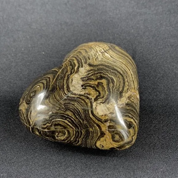 Coeur en Stromatolite -10| Sphères, Oeufs, et Coeurs | Dans les yeux de Gaïa