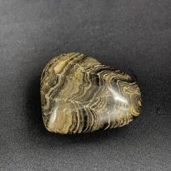 Coeur en Stromatolite CST7