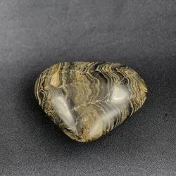 Coeur en Stromatolite -8| Sphères, Oeufs, et Coeurs | Dans les yeux de Gaïa