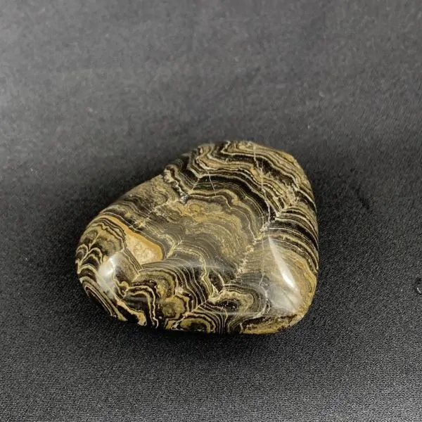 Coeur en Stromatolite -8| Sphères, Oeufs, et Coeurs | Dans les yeux de Gaïa