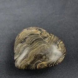 Coeur en Stromatolite CST10