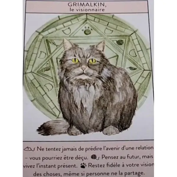 L'Oracle Des Maîtres Chats - Carte Grimalkin | Dans les Yeux de Gaïa