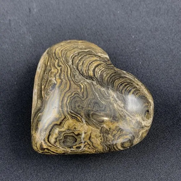 Coeur en Stromatolite -7| Sphères, Oeufs, et Coeurs | Dans les yeux de Gaïa