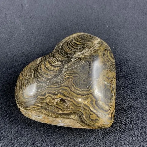 Coeur en Stromatolite -7| Sphères, Oeufs, et Coeurs | Dans les yeux de Gaïa
