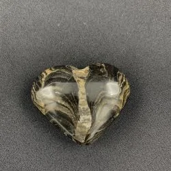 Coeur en Stromatolite -5| Sphères, Oeufs, et Coeurs | Dans les yeux de Gaïa