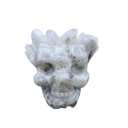 Crâne en cristal de roche, face 1 | Dans les Yeux de Gaia