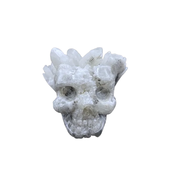 Crâne en cristal de roche, face 1 | Dans les Yeux de Gaia
