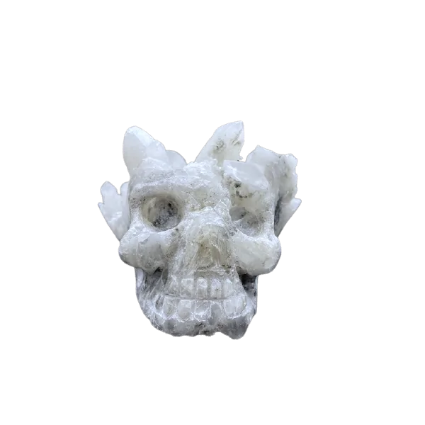 Crâne en cristal de roche, face 2 | Dans les Yeux de Gaia
