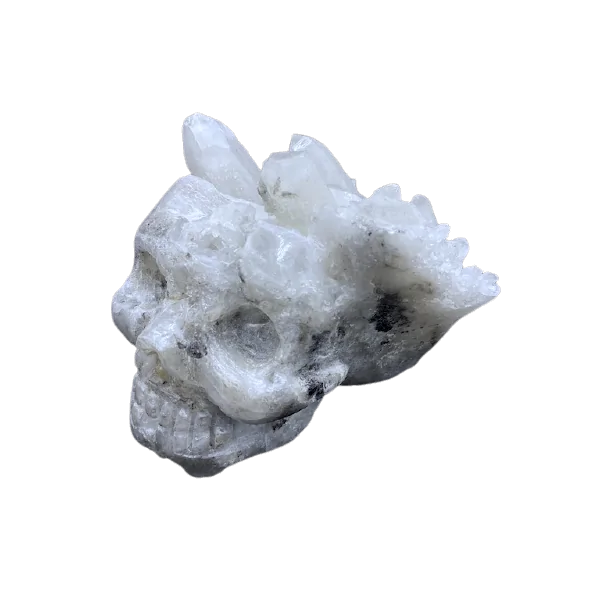 Crâne en cristal de roche, profil 1 | Dans les Yeux de Gaia