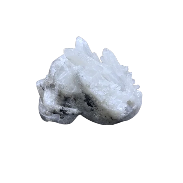 Crâne en cristal de roche, profil 3 | Dans les Yeux de Gaia