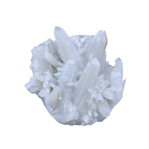 Crâne en cristal de roche, profil 5 | Dans les Yeux de Gaia