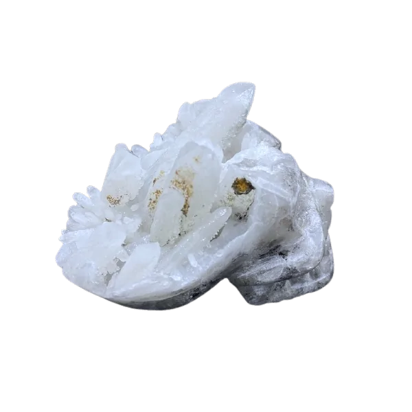Crâne en cristal de roche, profil 4 | Dans les Yeux de Gaia