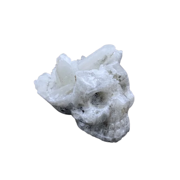 Crâne en cristal de roche, profil 2 | Dans les Yeux de Gaia