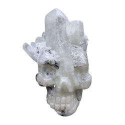 crâne en cristal de roche, face 1 | Dans les Yeux de Gaia