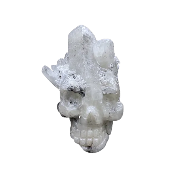 crâne en cristal de roche, face 1 | Dans les Yeux de Gaia