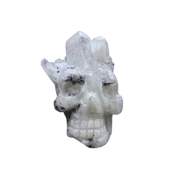crâne en cristal de roche, face 2 | Dans les Yeux de Gaia
