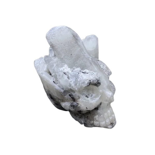 crâne en cristal de roche, profil 2 | Dans les Yeux de Gaia