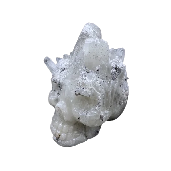 crâne en cristal de roche, profil 1 | Dans les Yeux de Gaia